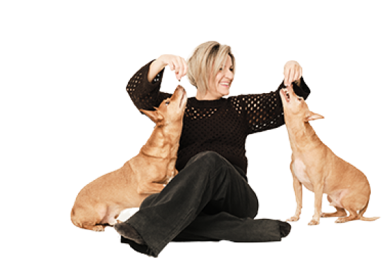 Playing with Dogs